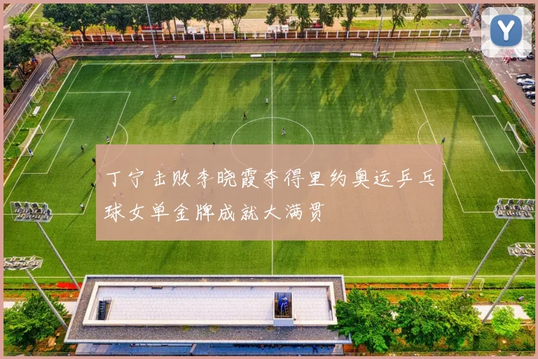 丁宁击败李晓霞夺得里约奥运乒乓球女单金牌成就大满贯