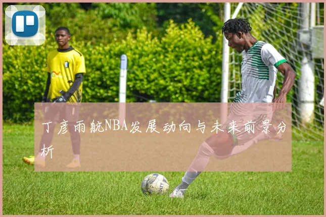 丁彦雨航NBA发展动向与未来前景分析
